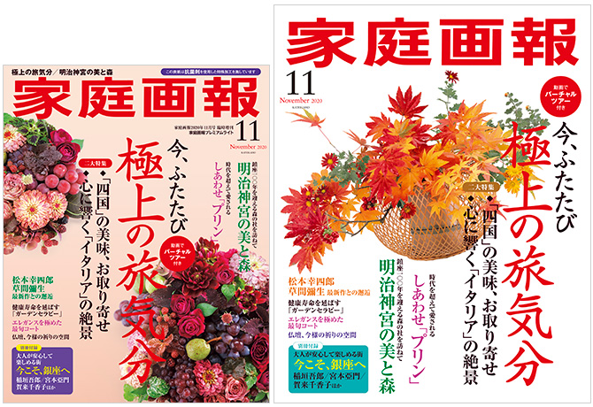 「貓舌梳（Nekojasuri）」刊載於家庭畫報11月號。