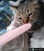 ねこじゃすり